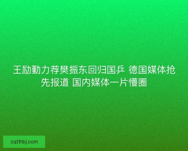 王励勤力荐樊振东回归国乒 德国媒体抢先报道 国内媒体一片懵圈